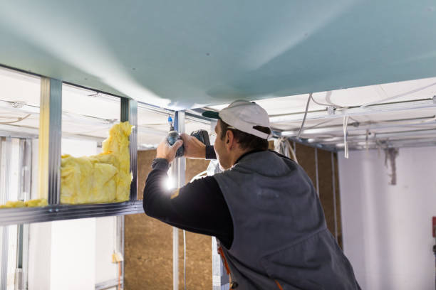 Best Commercial Insulation in Opelousas, LA