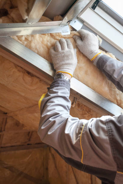 Best Types of Insulation in Opelousas, LA